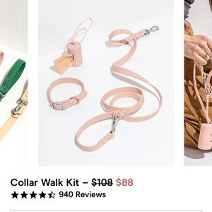Blush Wild One Dog Collar Walk Kit
